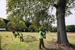 Высоторез/Сучкорез аккумуляторный телескопический Greenworks PS102T, 25 см, бесщеточный, без АКБ и ЗУ (1402407)