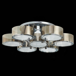 Светильник потолочный Evoluce Foresta SL483.702.07