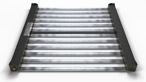 LED лампа Rootster (ex. Big Cock Design) Flasher 2 600W BS
