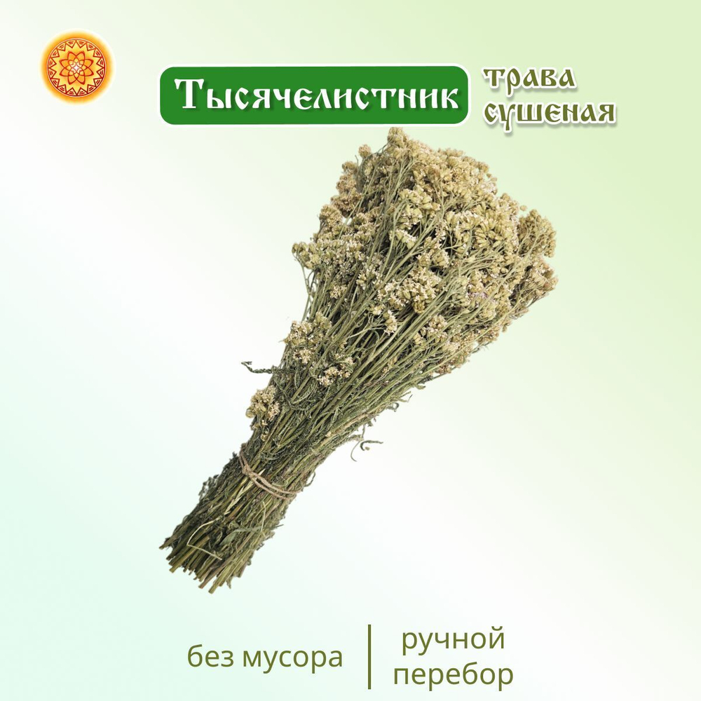 Тысячелистник (пучок)