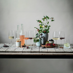 Набор бокалов для вин Fruity & Delicate 2шт 535мл Zwiesel Glass Vivid Senses