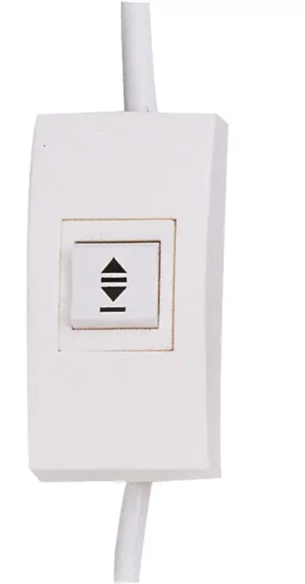 Экран с электроприводом Lumien 244x244 см (1:1) LMC-100105