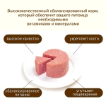 Wanpy Dog Консервы для собак из говядины, 24шт по 375 г