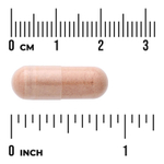 Swanson Vitamins, Пикногенол, суперсила, 150 мг, 30 растительных капсул