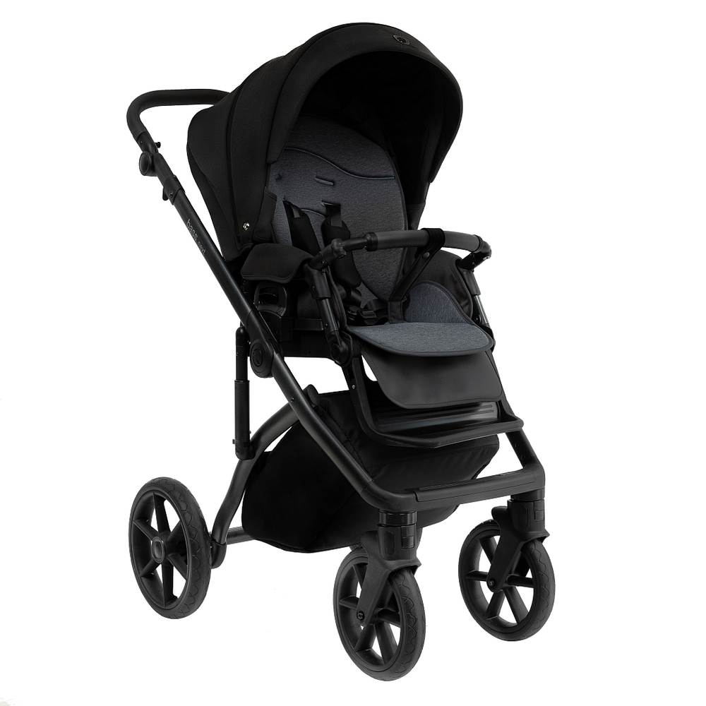 Коляска 2 в 1 Roan Bass Next 2.0, Caviar Black