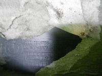 DSCN4197.jpg