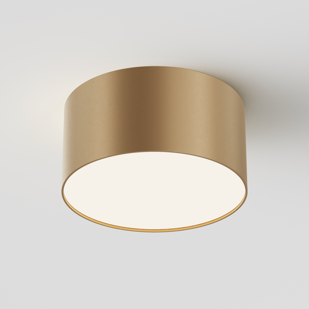 Потолочный светодиодный светильник Maytoni Zon C032CL-12W4K-RD-MG