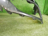 DSCN4191.jpg