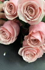 51 одна роза Be sweet