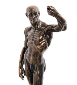 pr-HOU01 Статуэтка (Anatomical Study.Parastone)