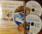 Курс акварели Константин Стерхов. Морской пейзаж. Пейзаж. Животные. Три двд-диска. DVD-video