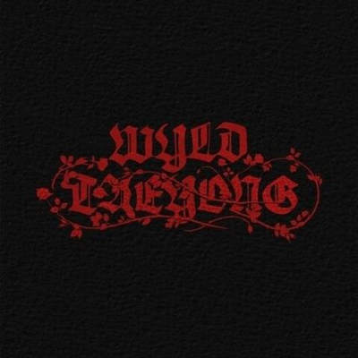 Альбом TAEYONG - WYLD 1st Album WYLD BOOK Version