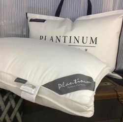PLANTINUM Подушка Египетский хлопок, Шелкопряд 50х70