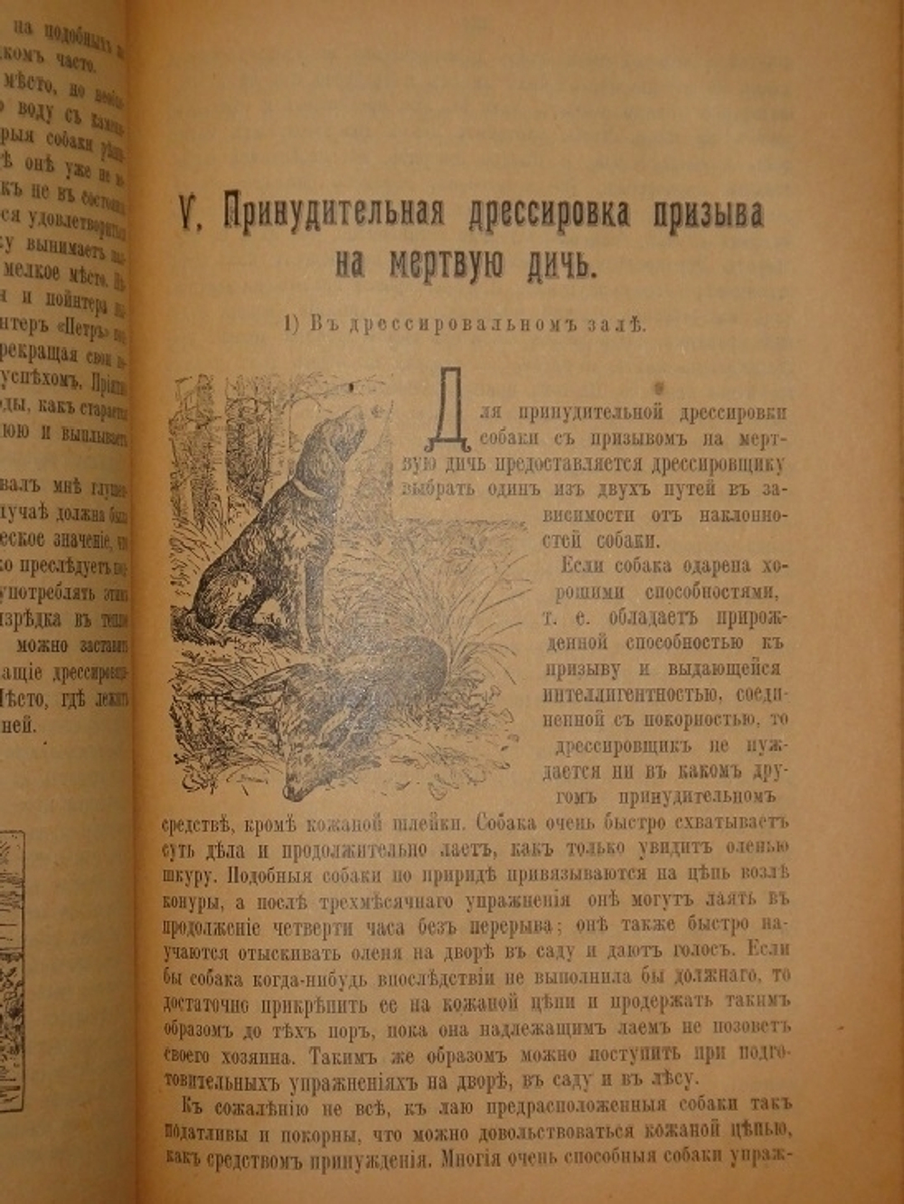 "Дрессировка и натаска подружейных собак". Г.Оберлендер. 1910г.