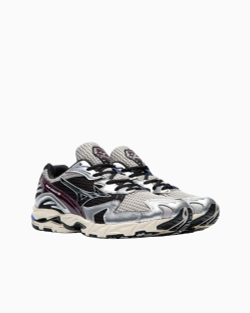 Кроссовки Mizuno Wave Rider 10