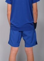 Мужские теннисные шорты RS Club Shorts club collection (222M321952)