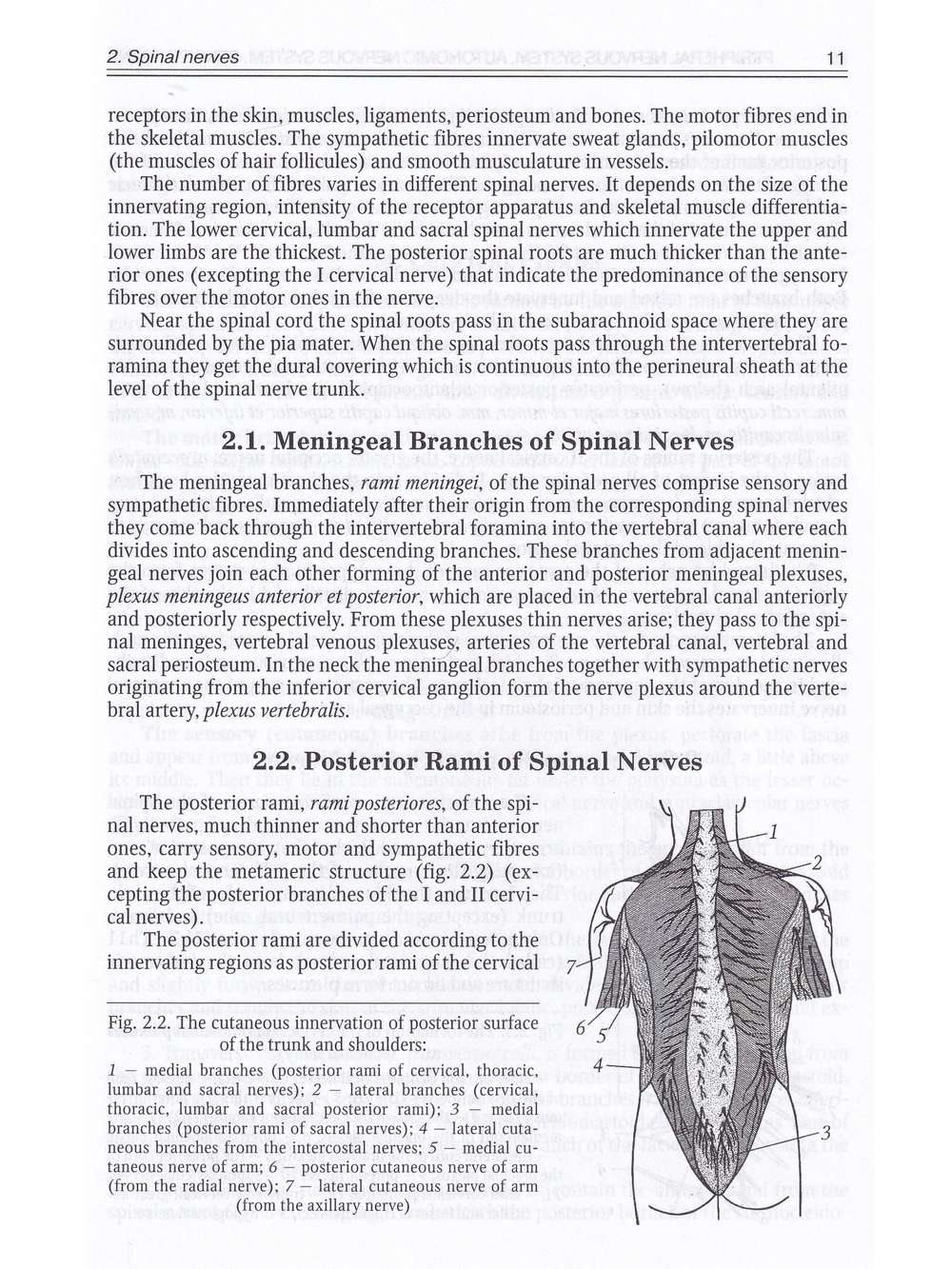 Периферическая нервная система.Автономная нервная система.Органы чувств.Учебное пособие на англ.языке