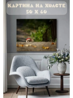 Картина на стену 40 X 50 Кот
