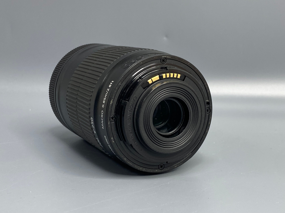 Canon EF-S 55-250mm 4-5.6 IS STM
