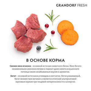 Сухой корм GRANDORF Fresh Cat KITTEN Lamb&Sweet Potato для котят из свежего мяса ягненка с бататом