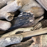 Cплавная (морская) древесина для творчества (набор) Drftwood, 600 гр
