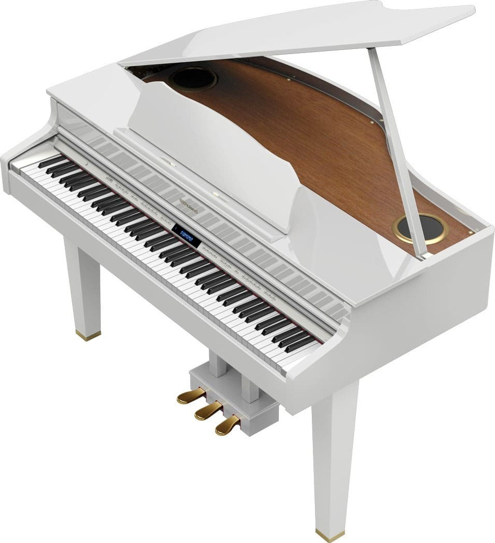 Roland GP 607-PW