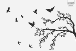 ARBRE 31