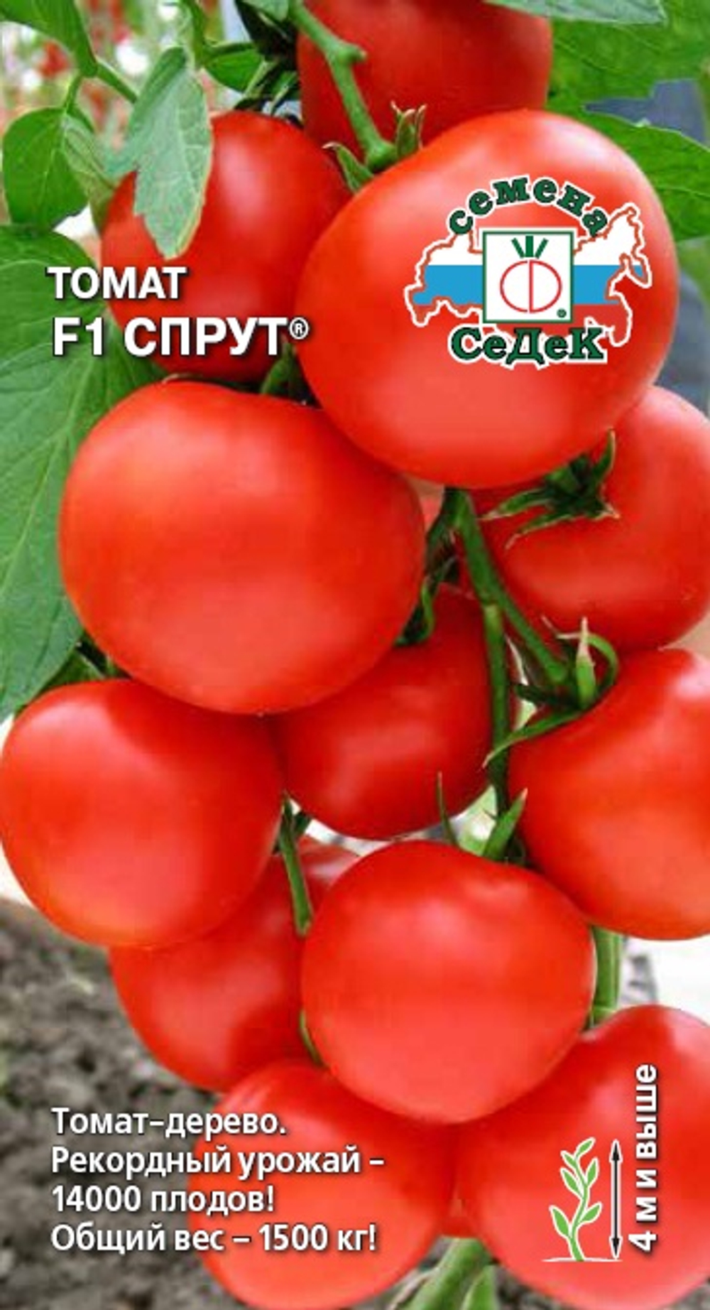 мим