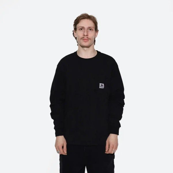 Лонгслив Anteater Phat Long095 (black) артикул: - купить в магазине Дайс