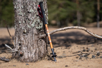 ПАЛКИ ТРЕККИНГОВЫЕ TALBERG RANGER POLE