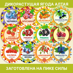 Дягиль корень.