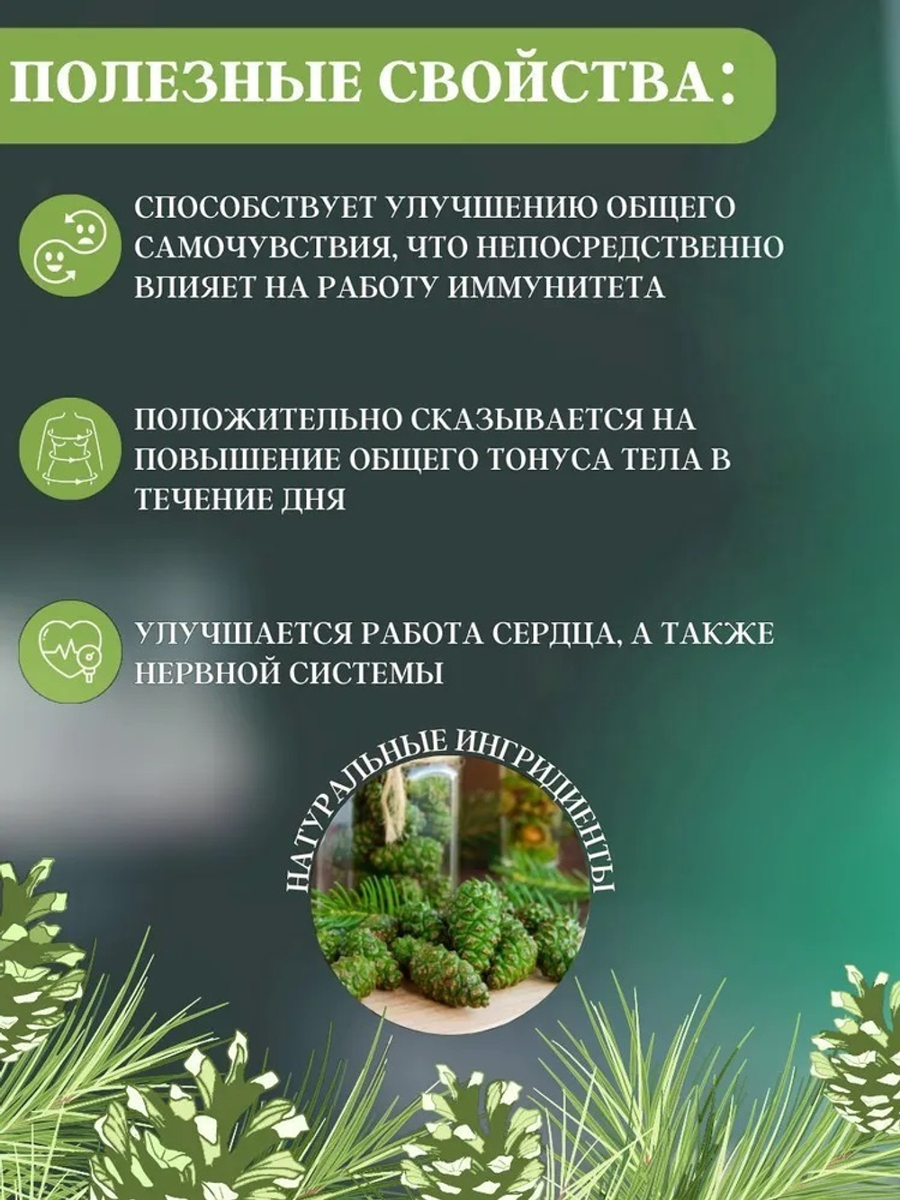 Настойка из зеленых шишек сосны