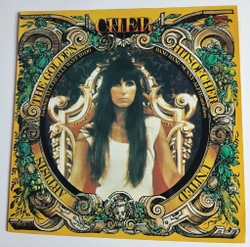 Винтажная виниловая пластинка LP The Golden Hits Of Cher (UK 1980)