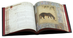 Книга Пути
