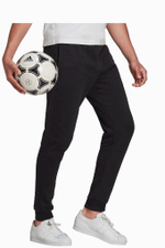 Штаны adidas Entrada 22 Sweat Pant