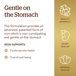 Solgar, Gentle Iron, 25 мг, 180 растительных капсул