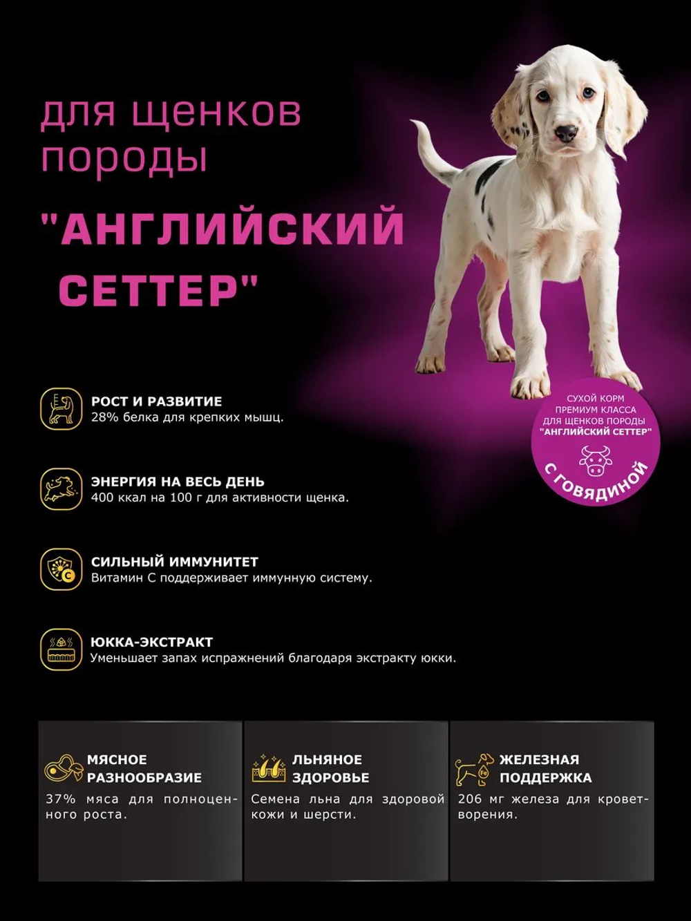 Корм сухой для щенков породы Английский сеттер, с говядиной, 3 кг, QUATTRO