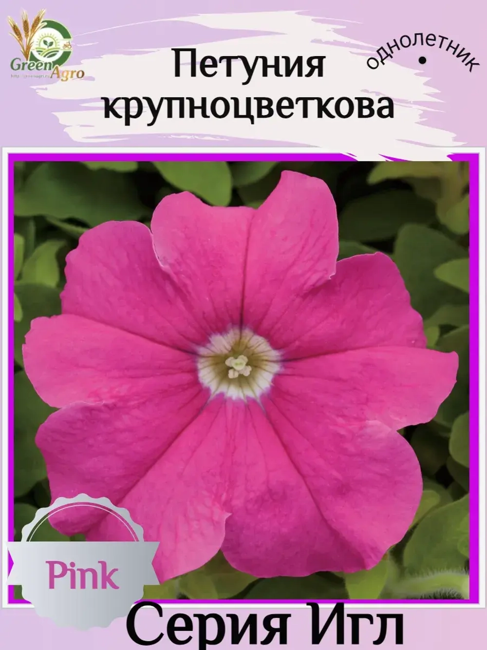 Семена Петуния Крупноцветковая