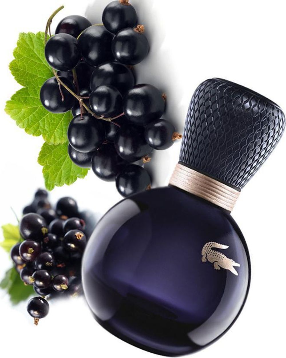 Lacoste eau de Lacoste Sensuelle Eau De Parfum
