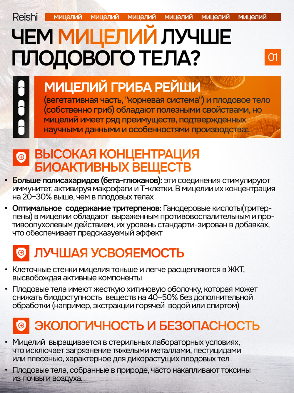 Рейши Линчжи 120 капсул