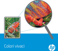 HP C9703A тонерный картридж Подлинный Пурпурный 1 шт