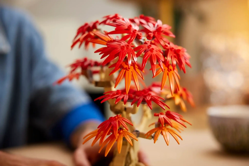 Конструктор LEGO Botanical Collection 10348 Бонсай из японского красного клена