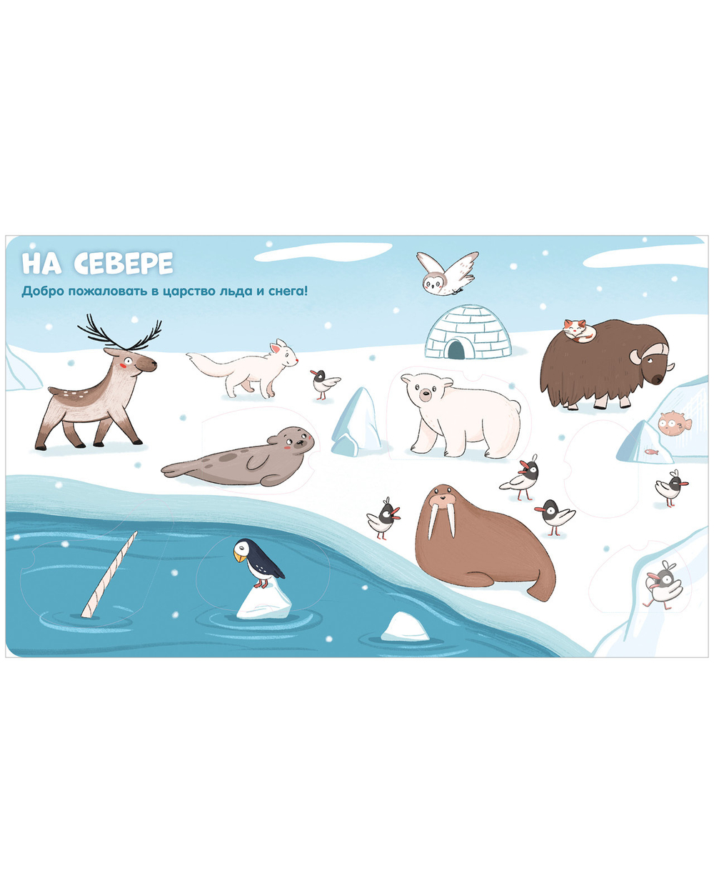 Книжка с окошками "Животные" для первого знакомства