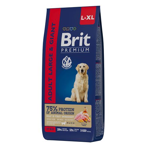 Brit
