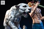 Статуя HS Studio ONE PIECE: Trafalgar D. Water Law Ван-Пис: Трафальгар Д. Ватер Ло