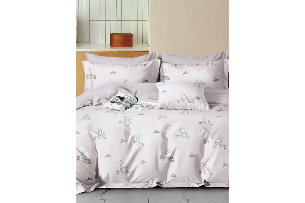 Постельное белье GoodNight Сатин Делюкс Кидс K2504 с компаньоном 1,5 сп. (с нав. 50х70)