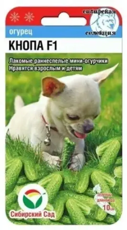 Огурец КНОПА F1 7шт (Сиб Сад)
