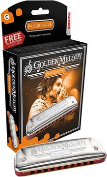 Губная гармоника диатоническая HOHNER Golden Melody 542/20 C (Доступ на 30 дней к бесплатным урокам)