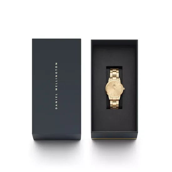 Женские часы Daniel Wellington Iconic Link Unitone 28 мм DW00100403