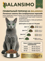 Сухой корм холистик для стерилизованных кошек и кастрированных котов Balansimo Holistic Sterilized Adult Cat индейка с ягодами 2 кг